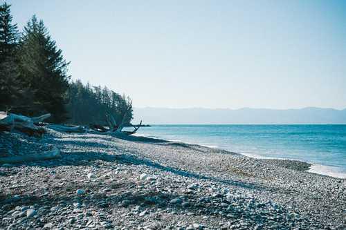 Tropikalna plaża z palmami